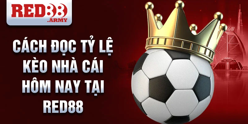 Cách đọc tỷ lệ kèo nhà cái hôm nay tại red88