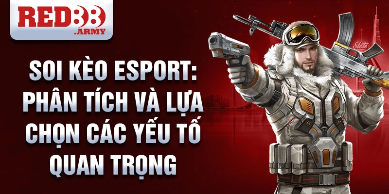 Soi kèo Esport: phân tích và lựa chọn các yếu tố quan trọng